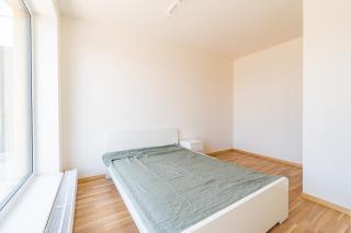 Penthouse # 81 with panoramic city view in Elite Rezidence with free parking - Prague - 4