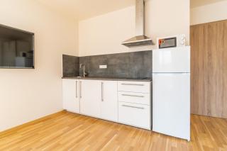 Penthouse # 81 with panoramic city view in Elite Rezidence with free parking - Prague - 2