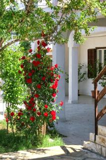 Apartments by the sea Kustici, Pag - 4104 - Zubovići - 5