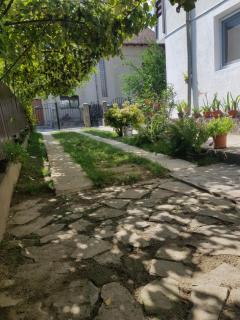 Casa Lica - Căciulata - 7