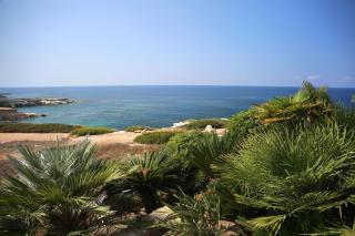 Seafront 5 Bedroom Villa Paradise in Sea Caves - Peyia - 5
