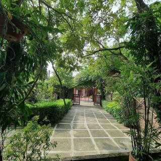 Tam Coc Minh Gia Homestay - Ninh Binh - 1