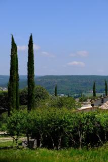 Domaine Le Bois Des Dames - Chantemerle-lès-Grignan - 5