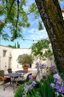 Domaine Le Bois Des Dames - Chantemerle-lès-Grignan - 2
