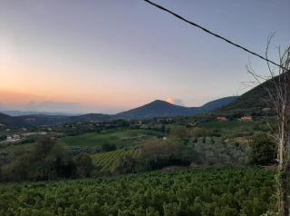 Locanda di Cornoleda - Cinto Euganeo - 2