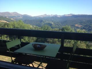 Duplex Superbe Vue Montagne - La Bourboule - 0