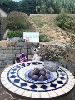 Fig&Lavender Apartment - Šmarje - 2