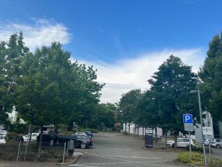 Ferienwohnung am Park - Holzminden - 9