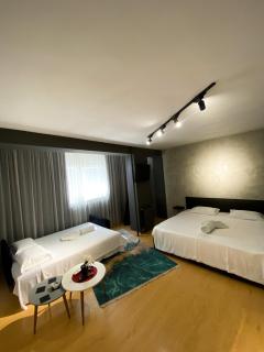 MT Apartments Skopje - 4