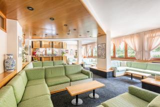 Hotel Alpina - Madonna di Campiglio - 9
