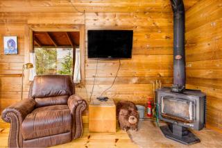 Alpina Cabin - Girdwood - 4