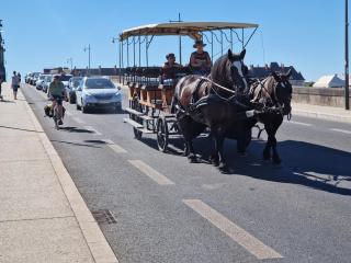 Le Saint Jean et son parking privée - 4