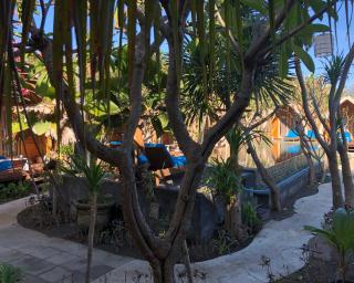Paradesa Villa - Gili Trawangan - 7