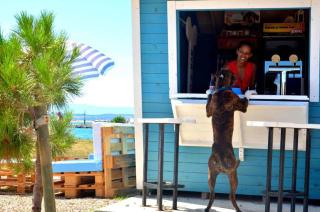 La Villa - Beach house & Rooms - Crikvenica - 2