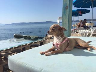 La Villa - Beach house & Rooms - Crikvenica - 4