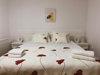 Casa cu vitralii - 6