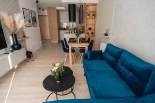 Silvia Apartment Gliwice Karolinki 78 - Gliwice - 7
