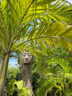 Résidence Adam et Eve - Orient Bay - 5