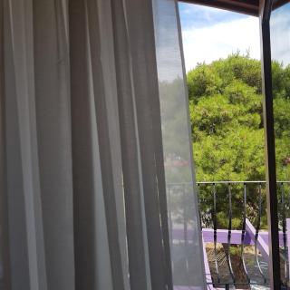 jardin kapetanova kuća - Veli Iž - 9
