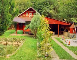 Cabana Cheile Valisoarei - Vălişoara - 2