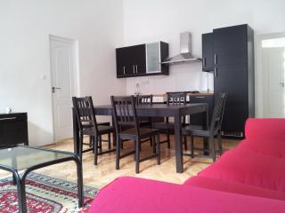 Anna 2 bedrooms 2 bathrooms 6 bikes - Budapest - 0