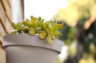 Casa La Herradura 1 - 4