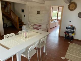 Alto Locandieri - Montebagnolo - 1