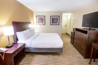 Holiday Inn St. Petersburg N - Clearwater by IHG - Clearwater - 3