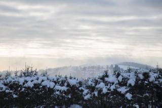 NaturTraum - Winterberg - 3