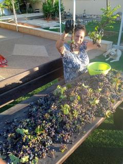 בקתה מעץ בחווה farm B''H - 1