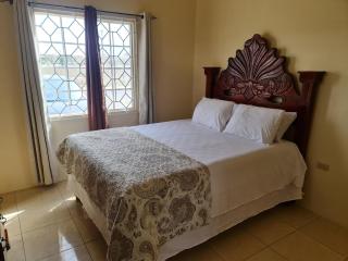 Chad's Island Retreat - Spanish Town - 4