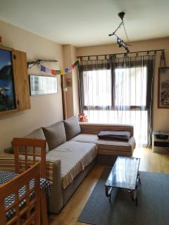 Apartamento en Escarrilla, sallent de gallego - Sallent de Gállego - 2