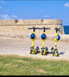 Asbn Magic Garden - ‘Akko - 1