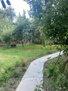 Xho's Forest Guest House - 2