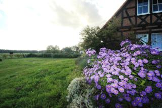 Flair Seehotel Zielow - Ludorf - 5