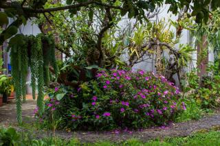 Cabinas las Manzanas Bed y Breakfast - Copey - 3