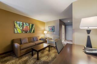 Best Western Plus Miami Airport North Hotel & Suites - Miami - 3