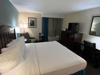 Best Western Williamsburg Historic District - Williamsburg - 6
