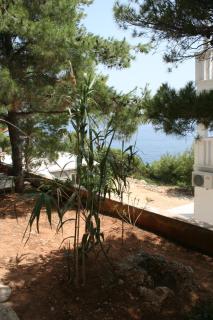 Apartments by the sea Sveta Nedilja, Hvar - 4609 - 3