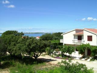 Apartments by the sea Vrsi - Mulo, Zadar - 5791 - Vrsi - 8