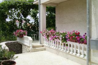 Apartments by the sea Vrsi - Mulo, Zadar - 5791 - Vrsi - 2