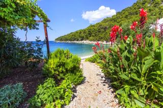 Seaside secluded apartments Cove Skozanje, Hvar - 5713 - Gdinj - 4