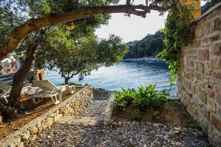 Seaside secluded apartments Cove Skozanje, Hvar - 5713 - Gdinj - 2