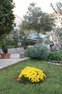 Apartments with parking space Biograd na Moru - 5833 - 4