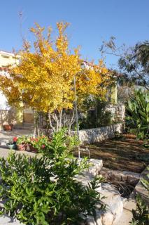 Apartments with parking spaces Rtina - Stosici, Zadar - 5881 - Ražanac - 3
