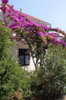 Apartments by the sea Basina, Hvar - 5700 - Vrboska - 4