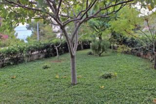 Apartments by the sea Postira, Brac - 5672 - 4