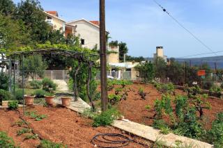 Apartments by the sea Ivan Dolac, Hvar - 5709 - Ivan Dolac - 4