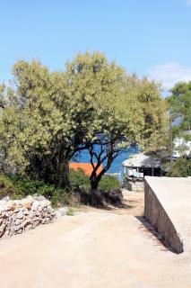 Apartments by the sea Cove Bristova, Hvar - 5716 - 4