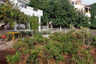 Apartments by the sea Ivan Dolac, Hvar - 5709 - Ivan Dolac - 2
